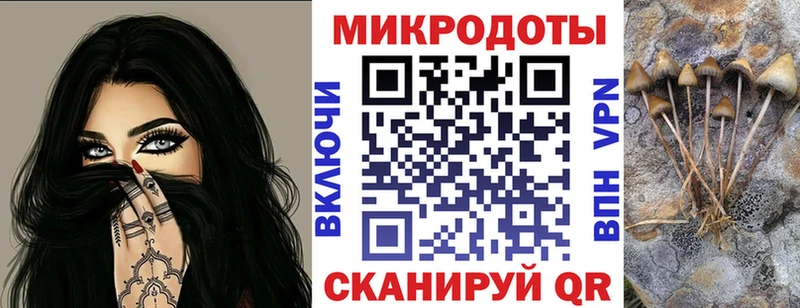 Псилоцибиновые грибы мицелий  цена   дарк нет как зайти  Кимовск 